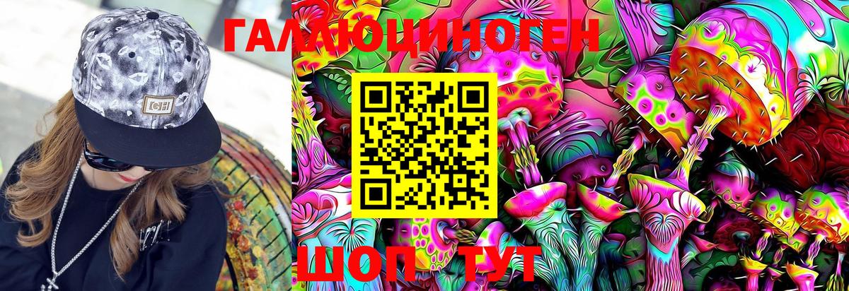 Псилоцибиновые грибы MAGIC MUSHROOMS  Вход с VPN  Галлюциногенные грибы Psilocybine cubensis  Ржев 